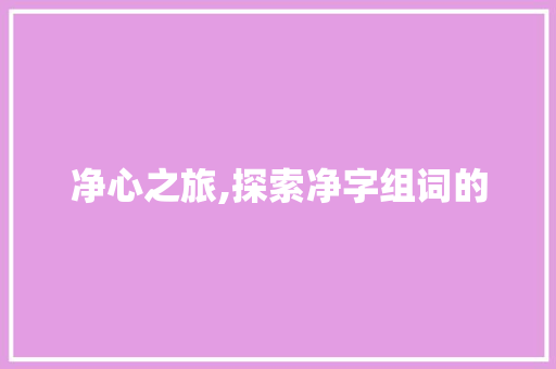 净心之旅,探索净字组词的