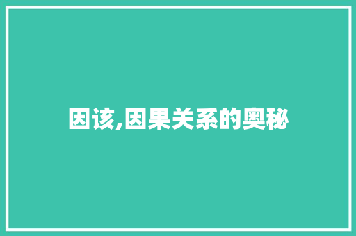 因该,因果关系的奥秘 项目报告