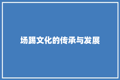 场踢文化的传承与发展