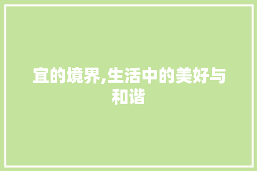 宜的境界,生活中的美好与和谐