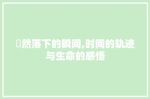 欶然落下的瞬间,时间的轨迹与生命的感悟