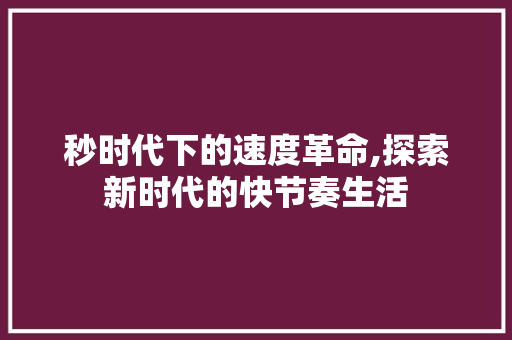 秒时代下的速度革命,探索新时代的快节奏生活