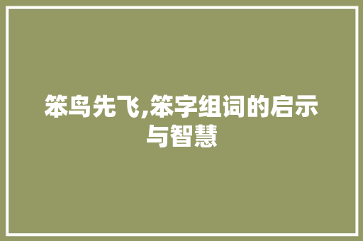 笨鸟先飞,笨字组词的启示与智慧