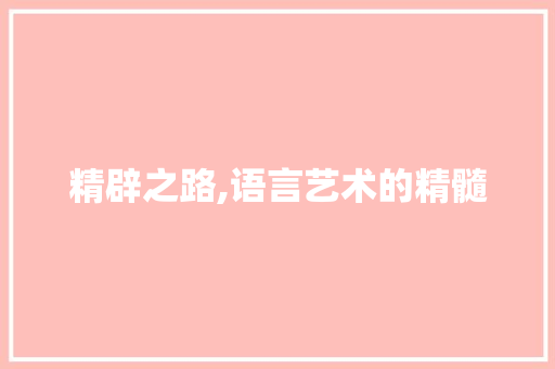 精辟之路,语言艺术的精髓
