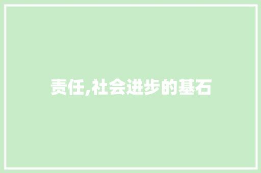 责任,社会进步的基石