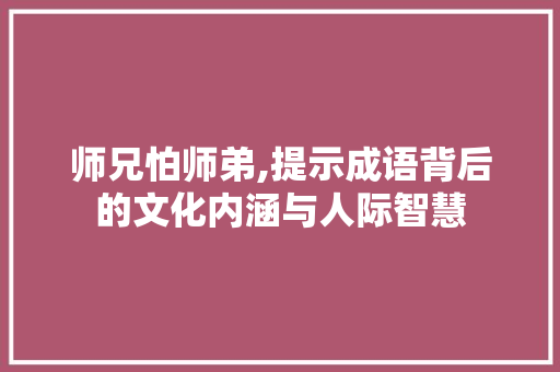 师兄怕师弟,提示成语背后的文化内涵与人际智慧