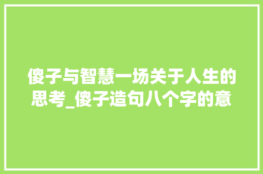 傻子与智慧一场关于人生的思考_傻子造句八个字的意思