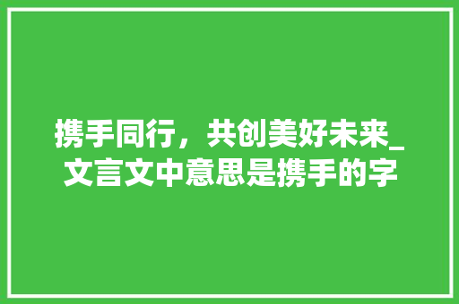 携手同行，共创美好未来_文言文中意思是携手的字