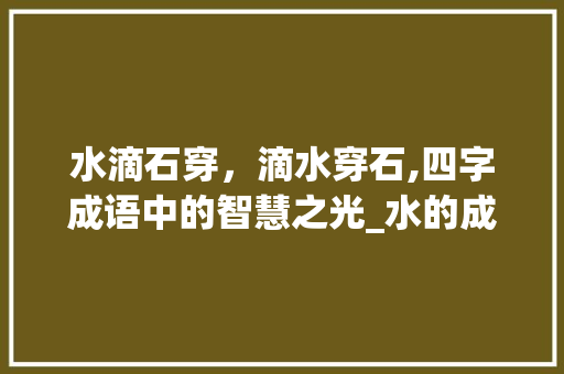 水滴石穿，滴水穿石,四字成语中的智慧之光_水的成语四字成语及意思