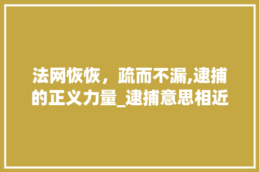 法网恢恢，疏而不漏,逮捕的正义力量_逮捕意思相近的四字词语