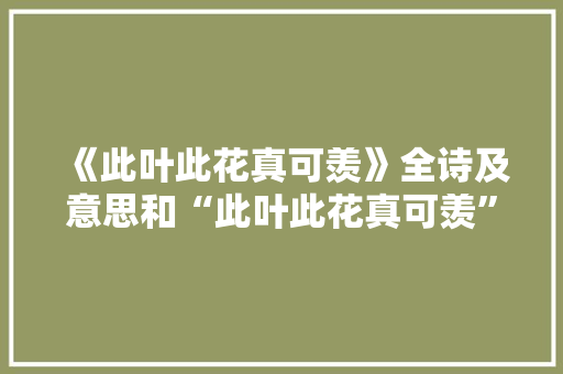 《此叶此花真可羡》全诗及意思和“此叶此花真可羡”的拼音注释 诗词鉴赏