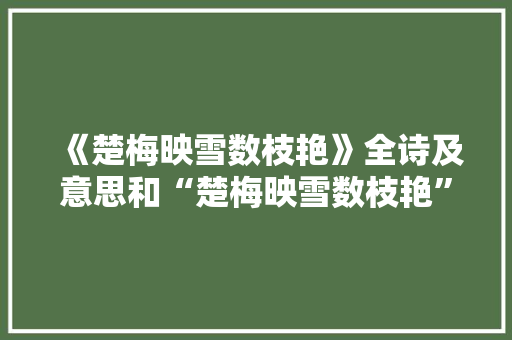 《楚梅映雪数枝艳》全诗及意思和“楚梅映雪数枝艳”的拼音注释