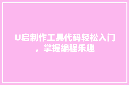 U启制作工具代码轻松入门，掌握编程乐趣