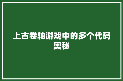 上古卷轴游戏中的多个代码奥秘
