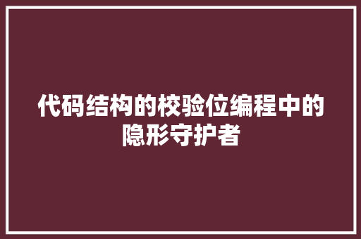 代码结构的校验位编程中的隐形守护者