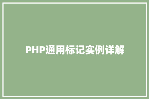 PHP通用标记实例详解