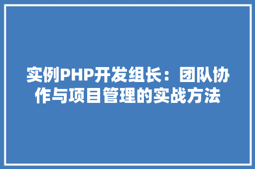 实例PHP开发组长：团队协作与项目管理的实战方法