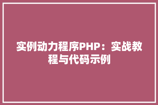 实例动力程序PHP：实战教程与代码示例