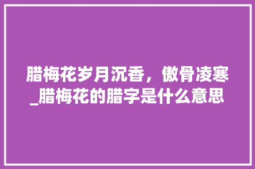 腊梅花岁月沉香，傲骨凌寒_腊梅花的腊字是什么意思
