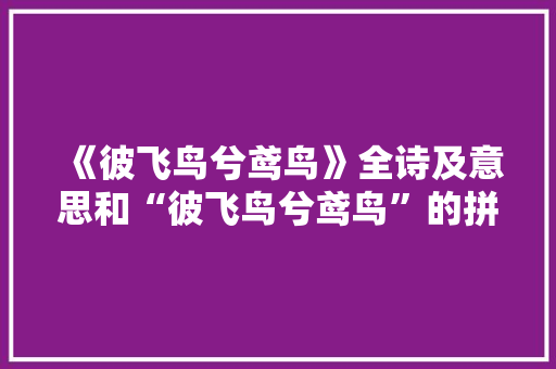 《彼飞鸟兮鸢鸟》全诗及意思和“彼飞鸟兮鸢鸟”的拼音注释 诗词鉴赏