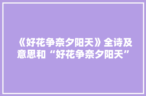 《好花争奈夕阳天》全诗及意思和“好花争奈夕阳天”的拼音注释 诗词鉴赏