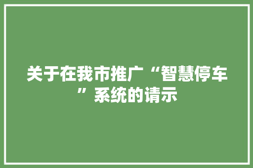 关于在我市推广“智慧停车”系统的请示