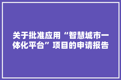 关于批准应用“智慧城市一体化平台”项目的申请报告