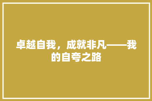 卓越自我，成就非凡——我的自夸之路 应用文
