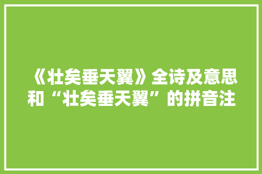 《壮矣垂天翼》全诗及意思和“壮矣垂天翼”的拼音注释 诗词鉴赏