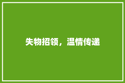 失物招领，温情传递