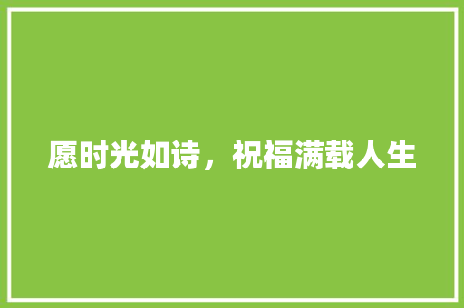 愿时光如诗，祝福满载人生