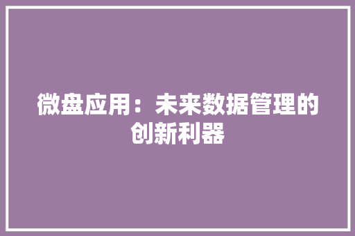 微盘应用：未来数据管理的创新利器 应用文