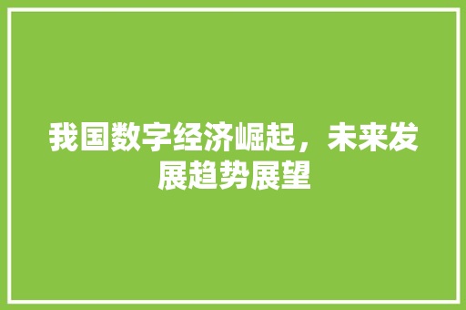 我国数字经济崛起，未来发展趋势展望
