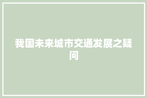 我国未来城市交通发展之疑问
