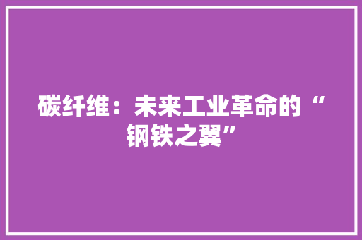 碳纤维：未来工业革命的“钢铁之翼” 应用文