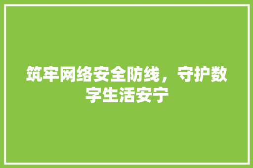 筑牢网络安全防线，守护数字生活安宁