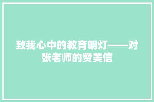致我心中的教育明灯——对张老师的赞美信