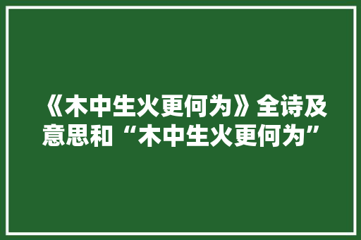 《木中生火更何为》全诗及意思和“木中生火更何为”的拼音注释