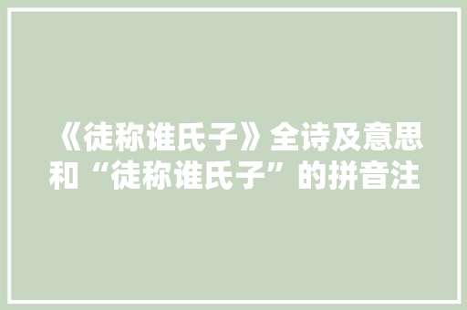 《徒称谁氏子》全诗及意思和“徒称谁氏子”的拼音注释